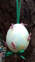 20190210_103258