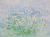Margeriten_54x74_2008