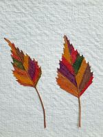 Blattbaum_3.1