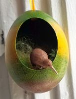 Kiwi_1