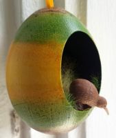 Kiwi_4